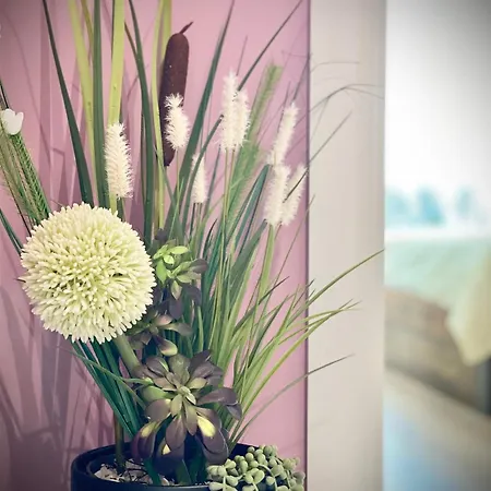 Appartamento Colourful For 4 Guests And Free Parking *